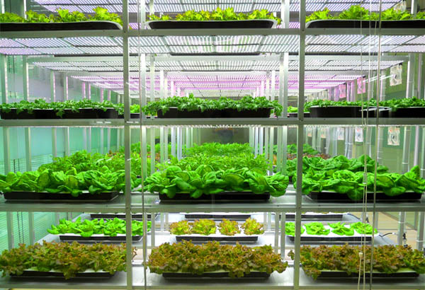 聚云位智攜手農業大學共建實驗室，智慧農業邁入新階段