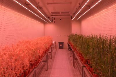 創新驅動，沃野生金 農業科研賦能中部地區高質量發展