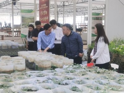 深入調研謀發展 院地合作促振興——花溪區委常委、組織部部長張楠一行蒞臨我院調研座談